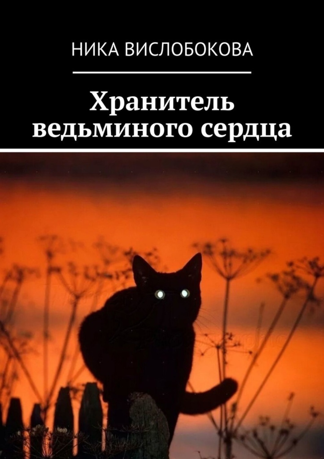 Обложка книги «Хранитель ведьминого сердца»