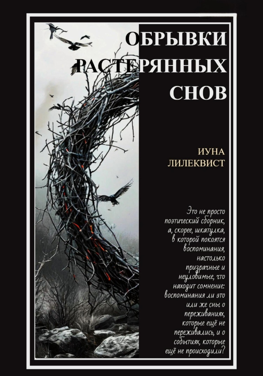 Обложка книги «Обрывки растерянных снов»