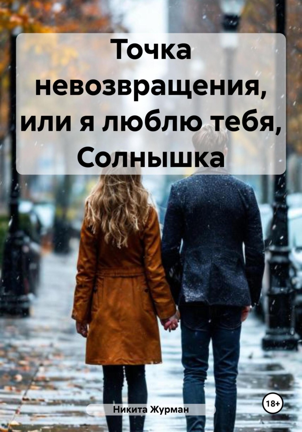 Обложка книги «Точка невозвращения, или я люблю тебя, Солнышка»