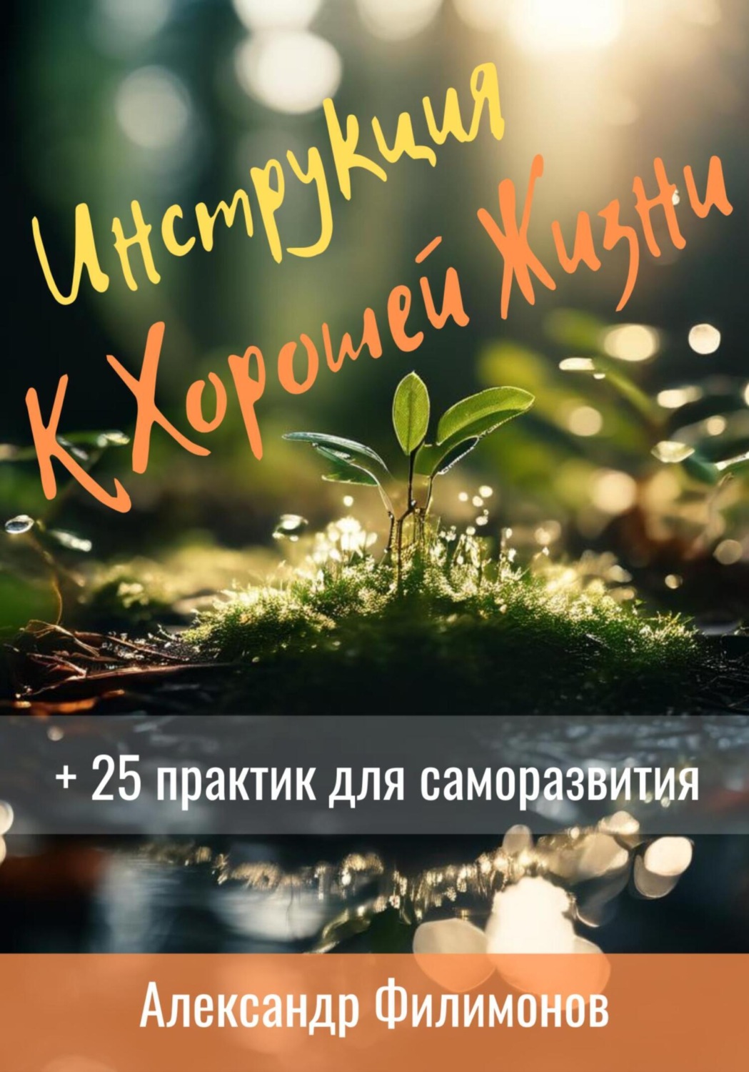 Обложка книги «Инструкция к хорошей жизни»