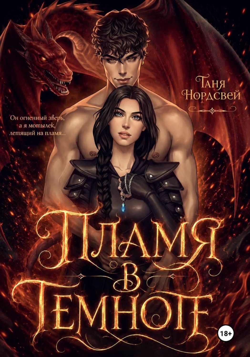 Обложка книги «Пламя в темноте»