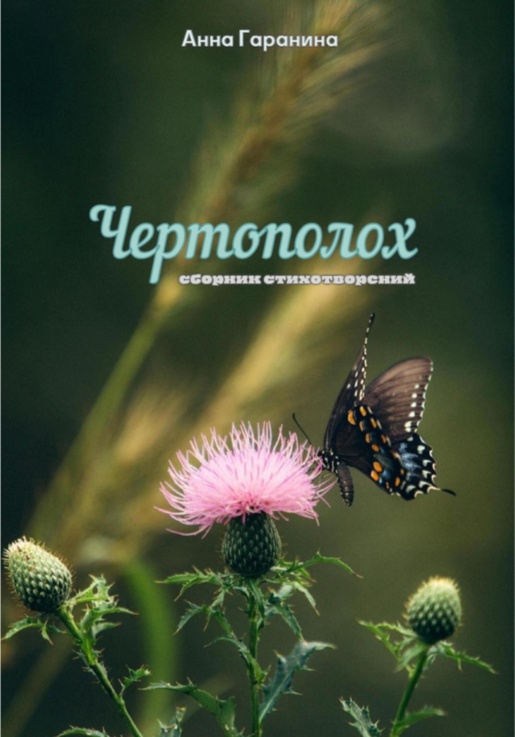 Обложка книги «Чертополох»