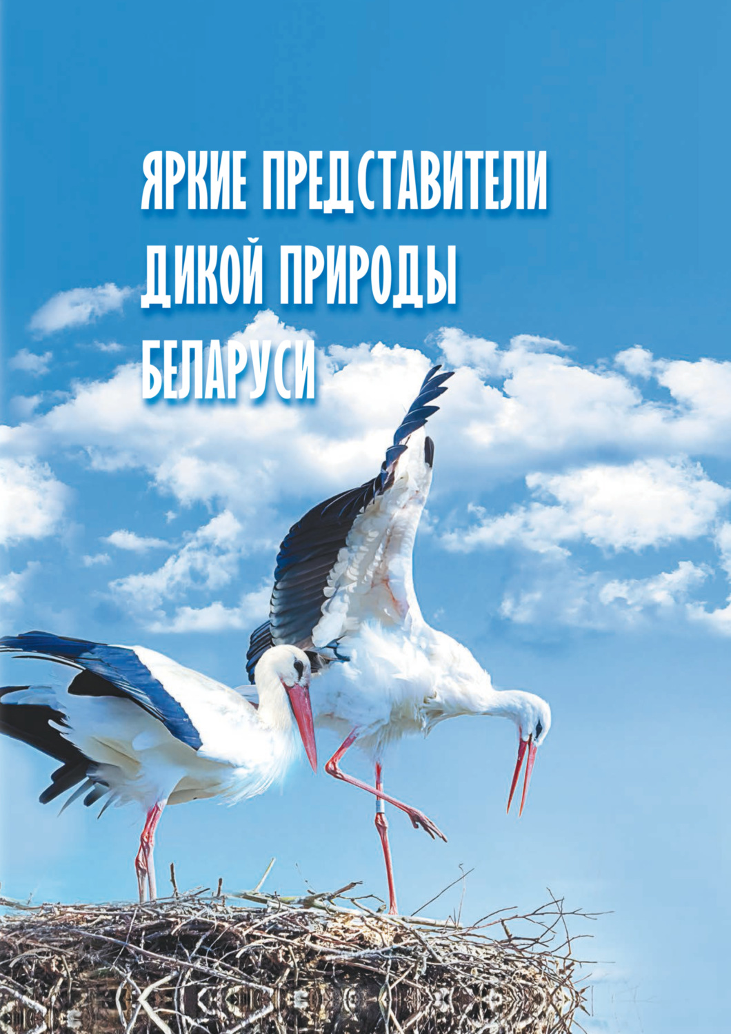 Обложка книги «Яркие представители дикой природы Беларуси»