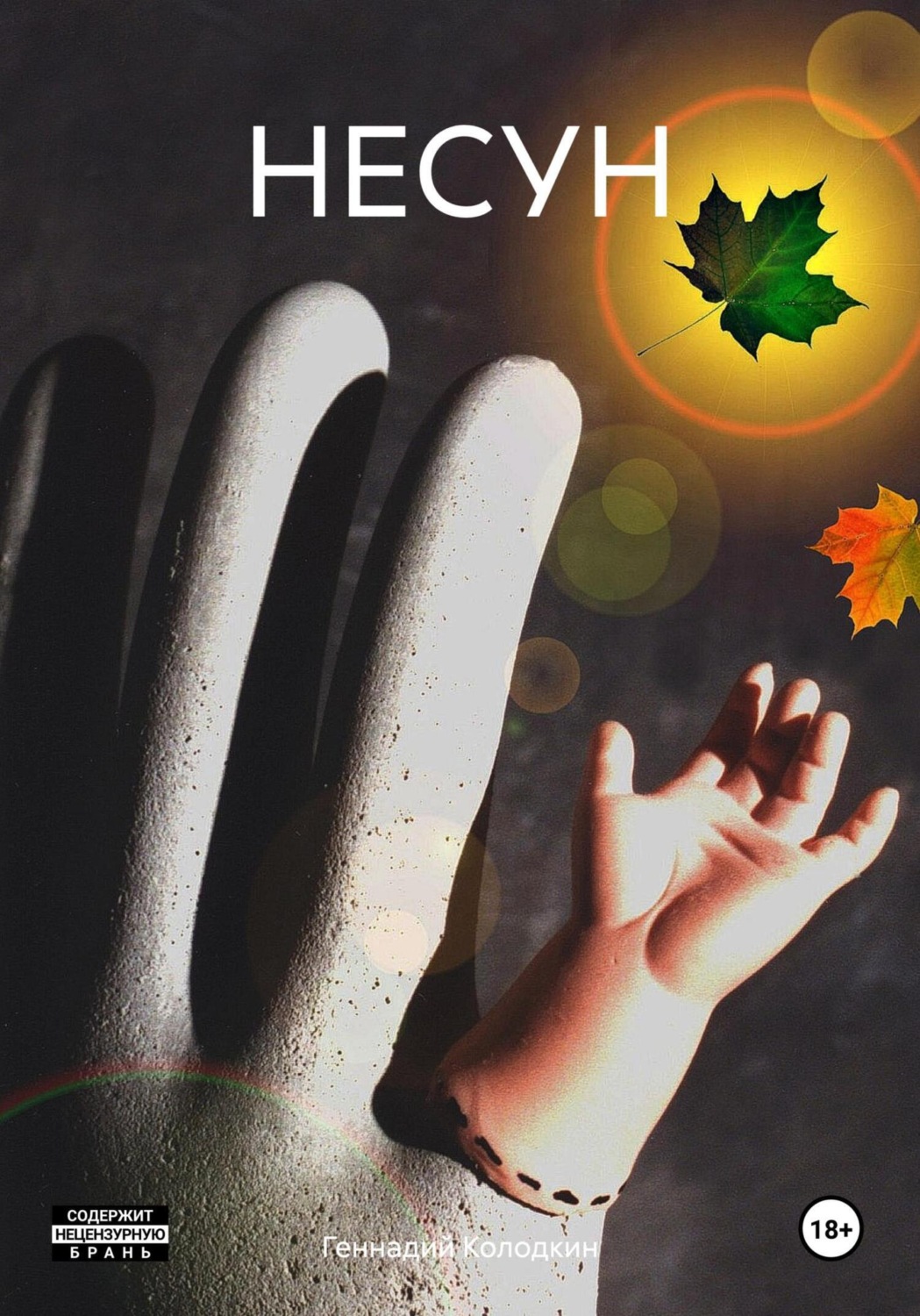 Обложка книги «НЕСУН»