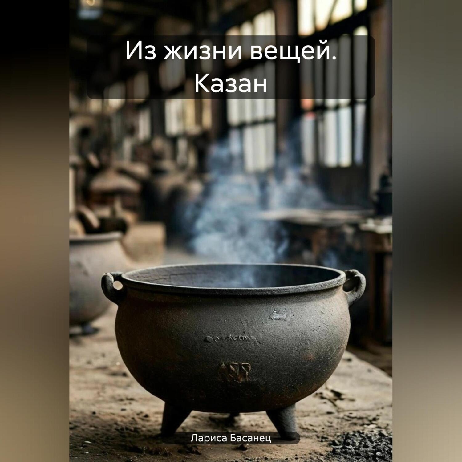 Обложка книги «Из жизни вещей. Казан»