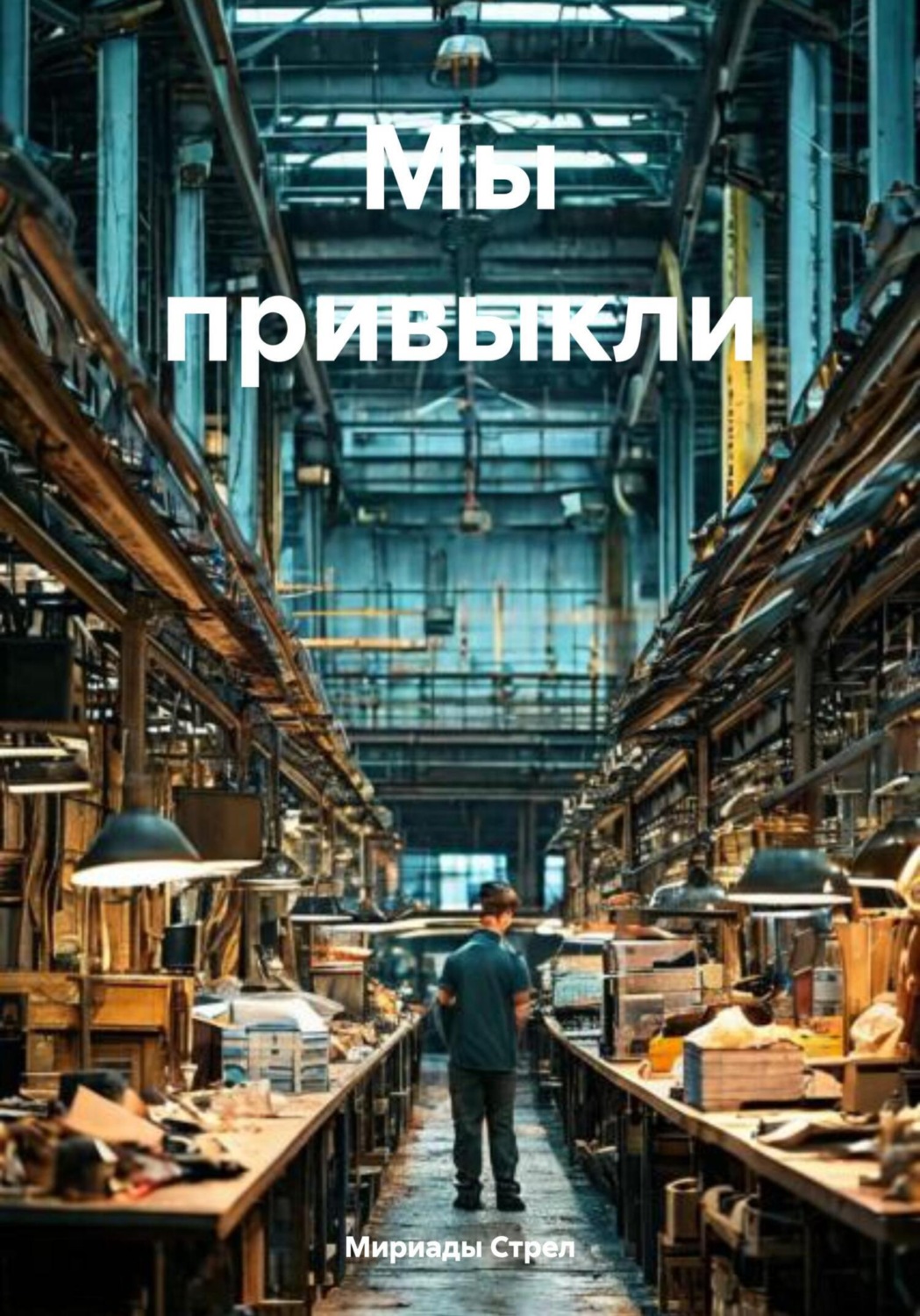 Обложка книги «Мы привыкли»