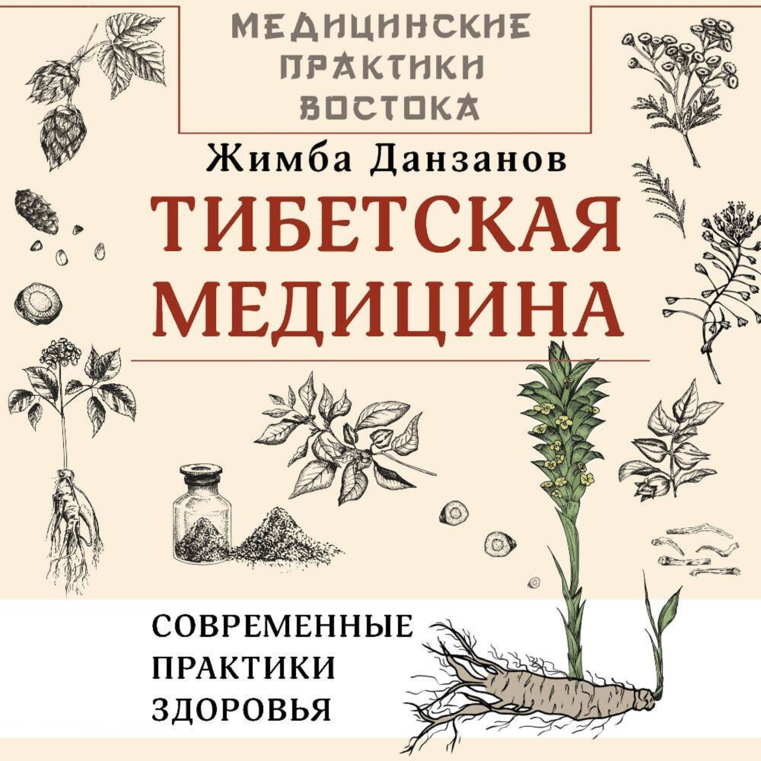 Обложка книги «Тибетская медицина: современные практики здоровья»