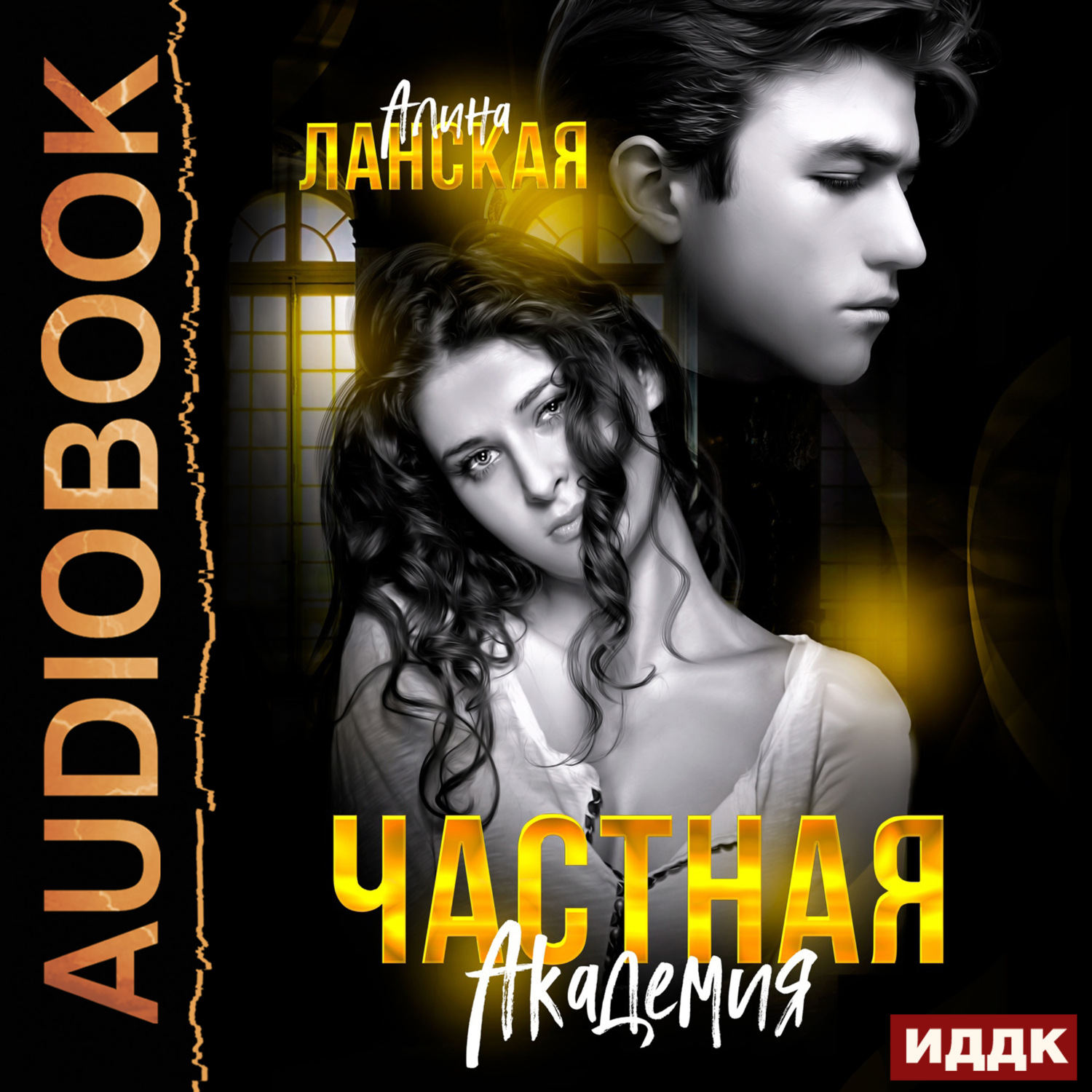Обложка книги «Частная Академия. Книга 1»