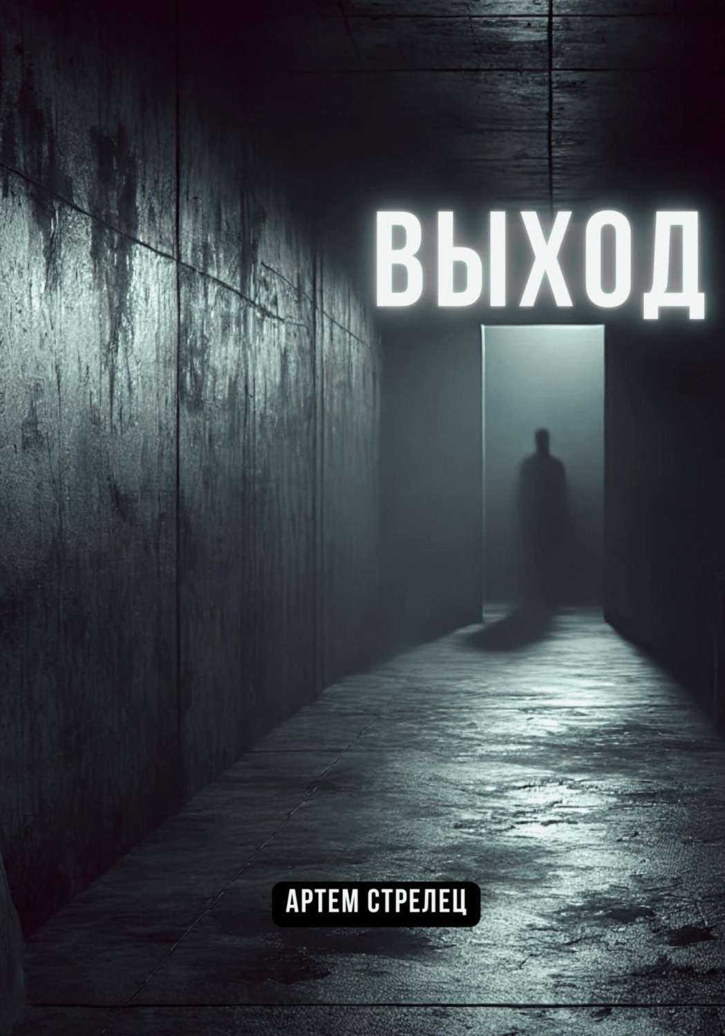 Обложка книги «Выход»