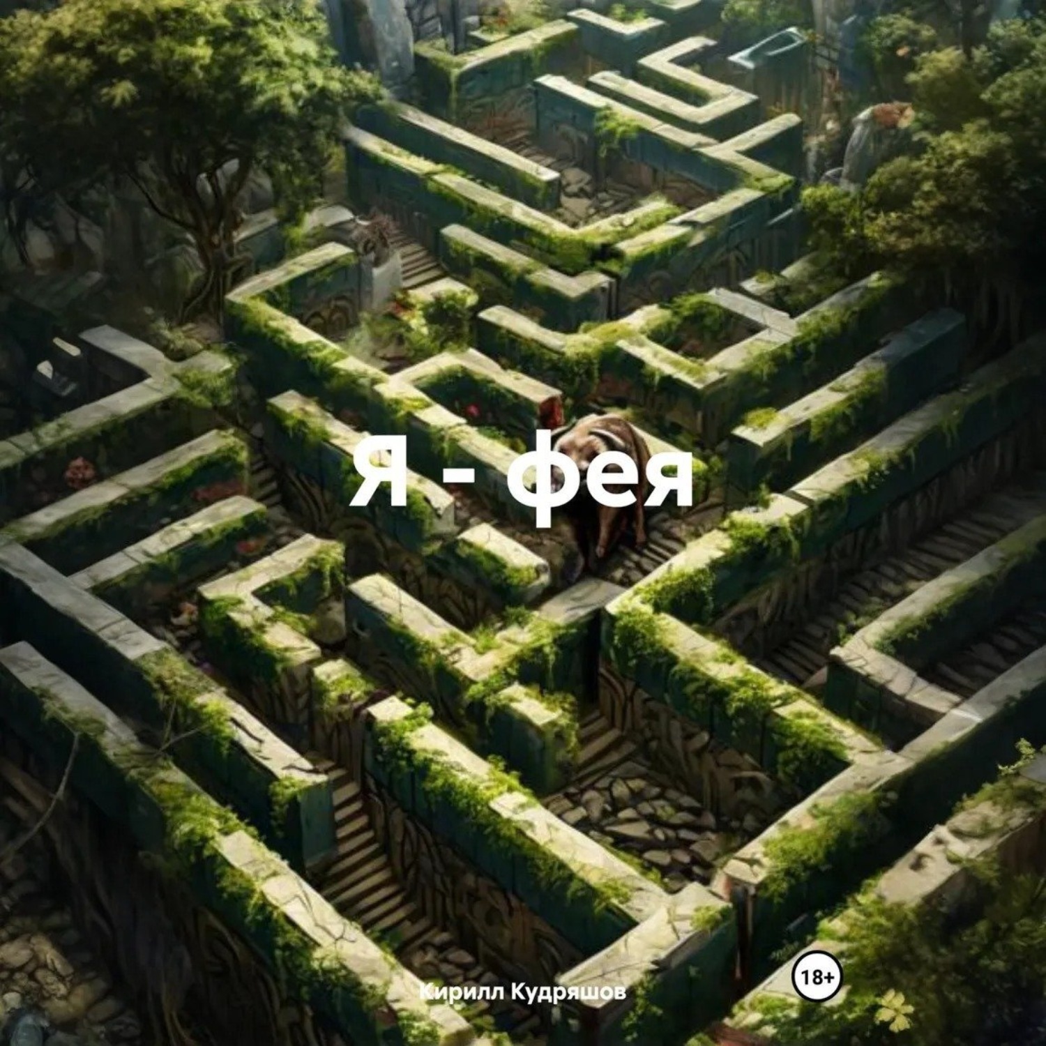 Обложка книги «Я – фея»