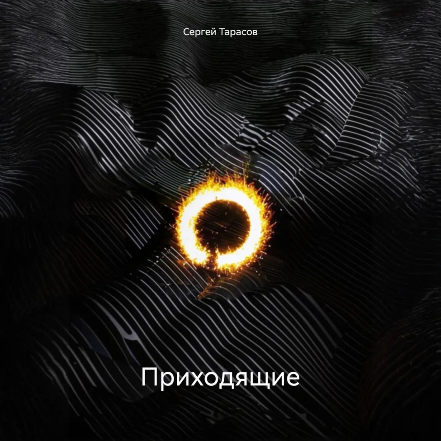 Обложка книги «Приходящие»