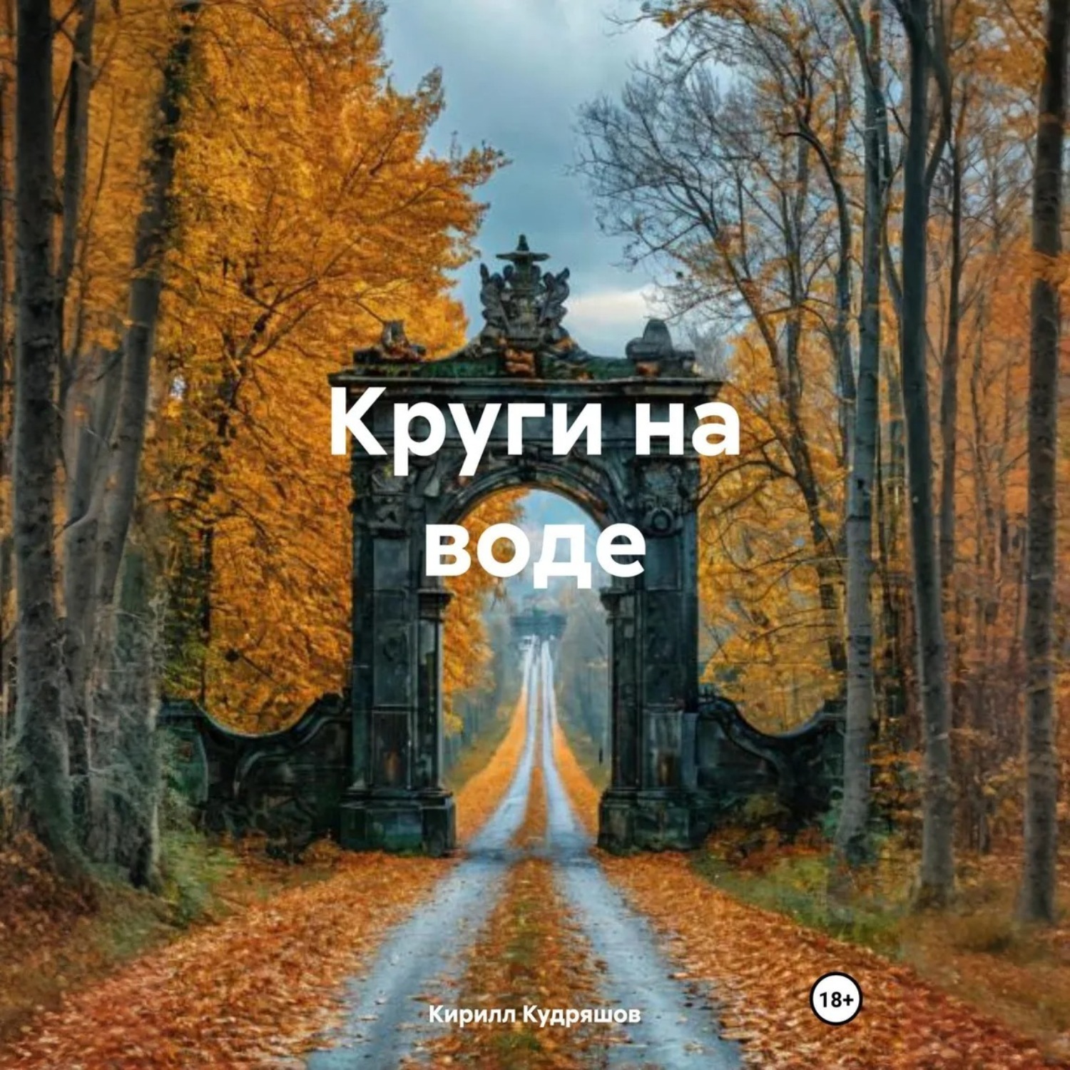Обложка книги «Круги на воде»