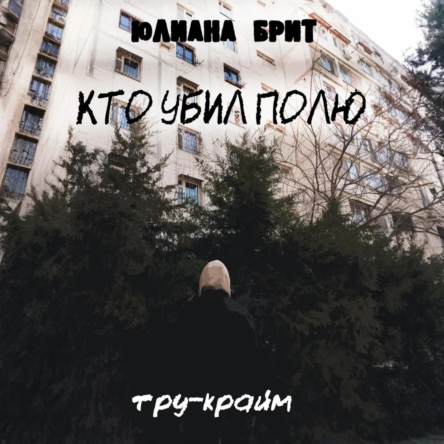 Обложка книги «Кто убил Полю»
