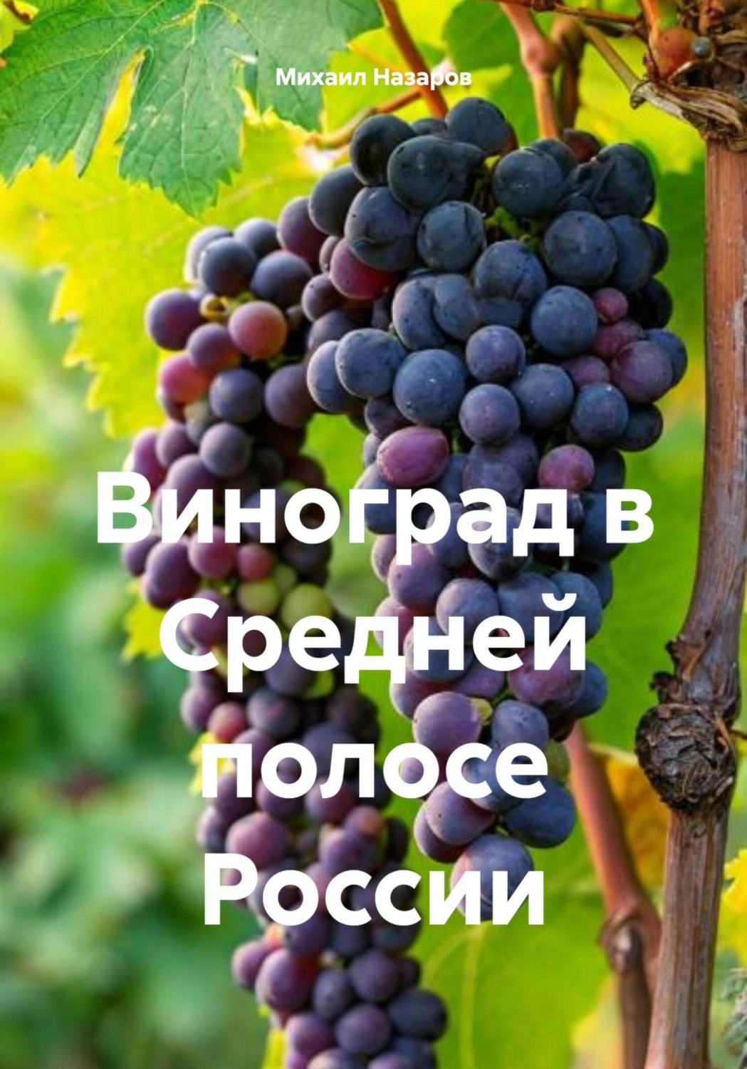 Обложка книги «Виноград в Средней полосе России»