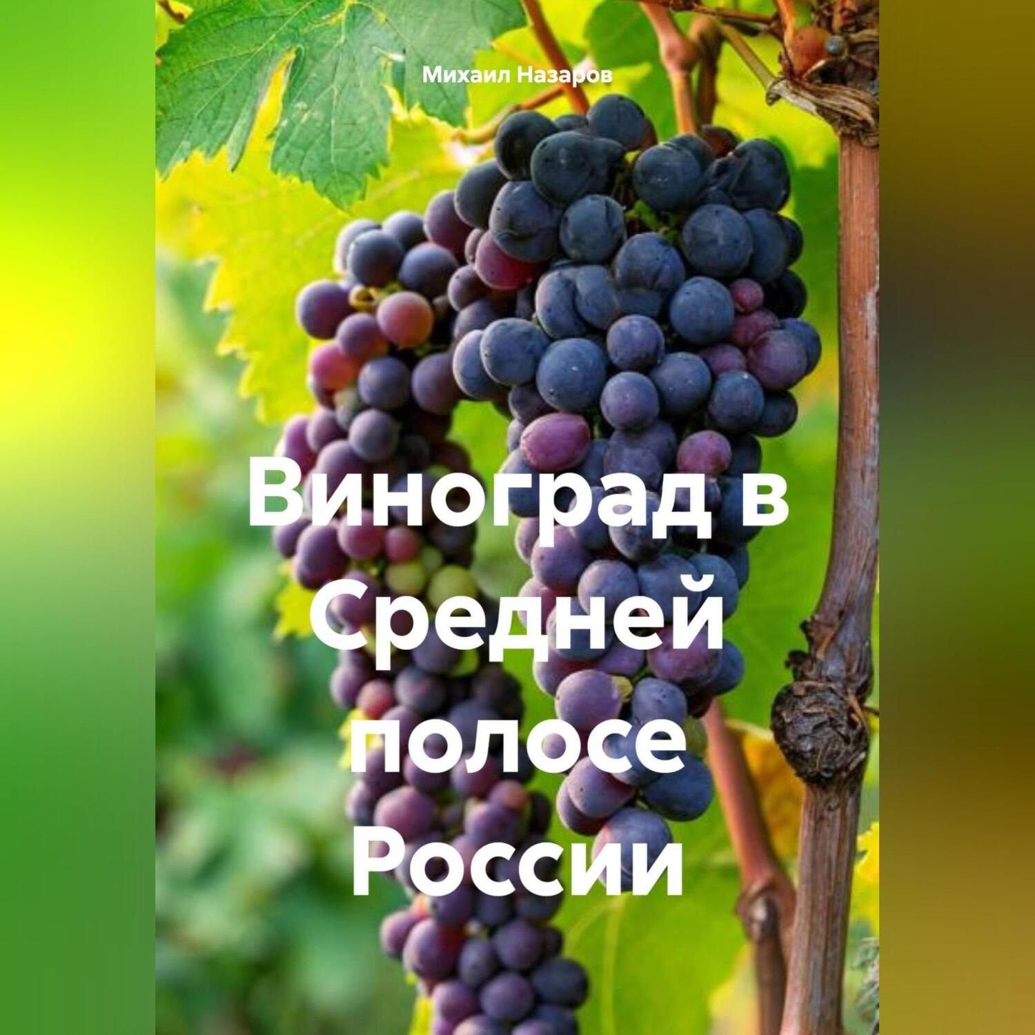 Обложка книги «Виноград»