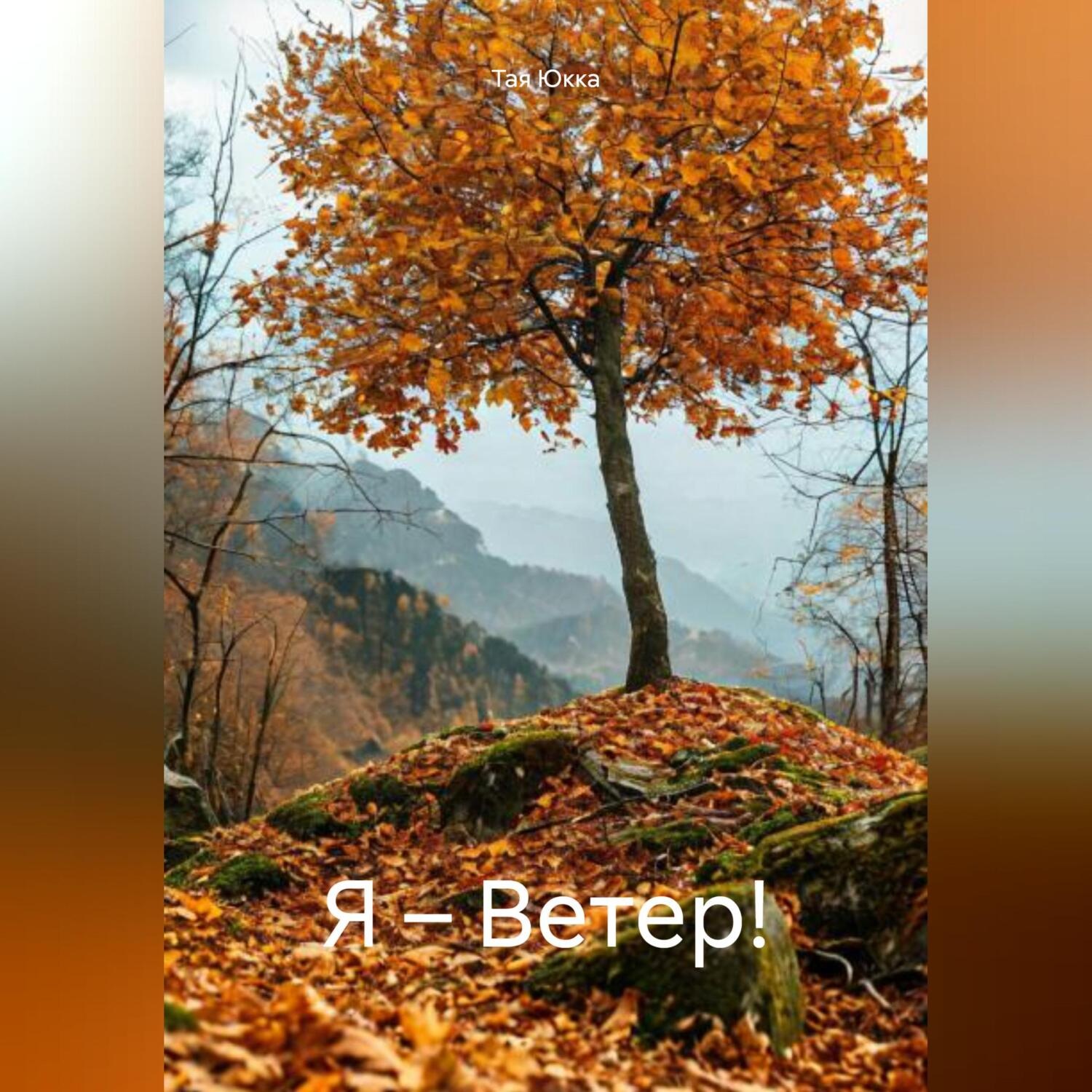 Обложка книги «Я – Ветер!»