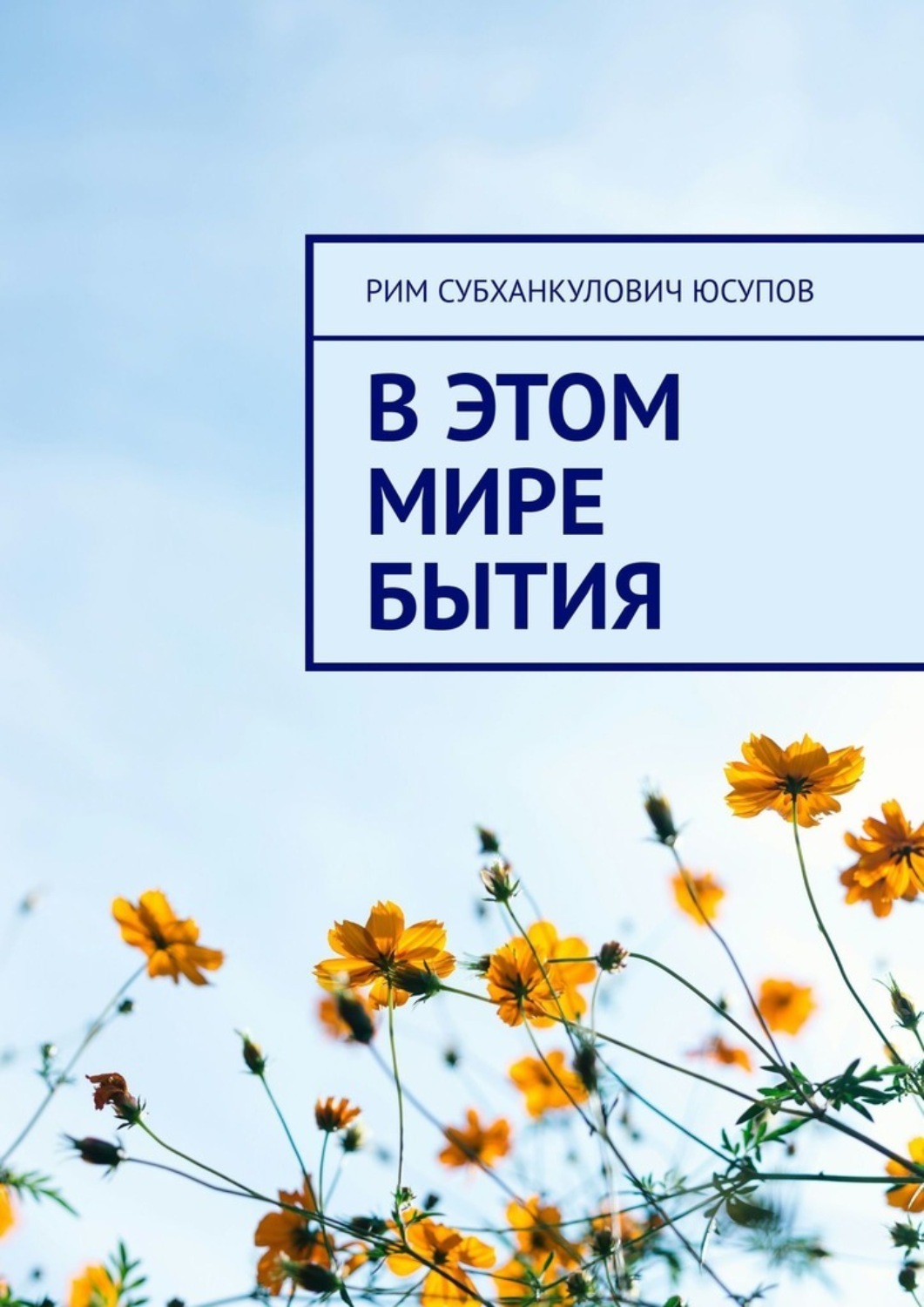 Обложка книги «В этом мире бытия»