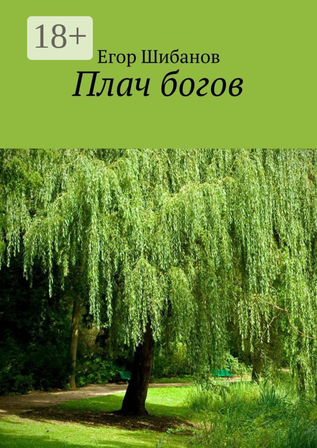 Обложка книги «Плач богов»