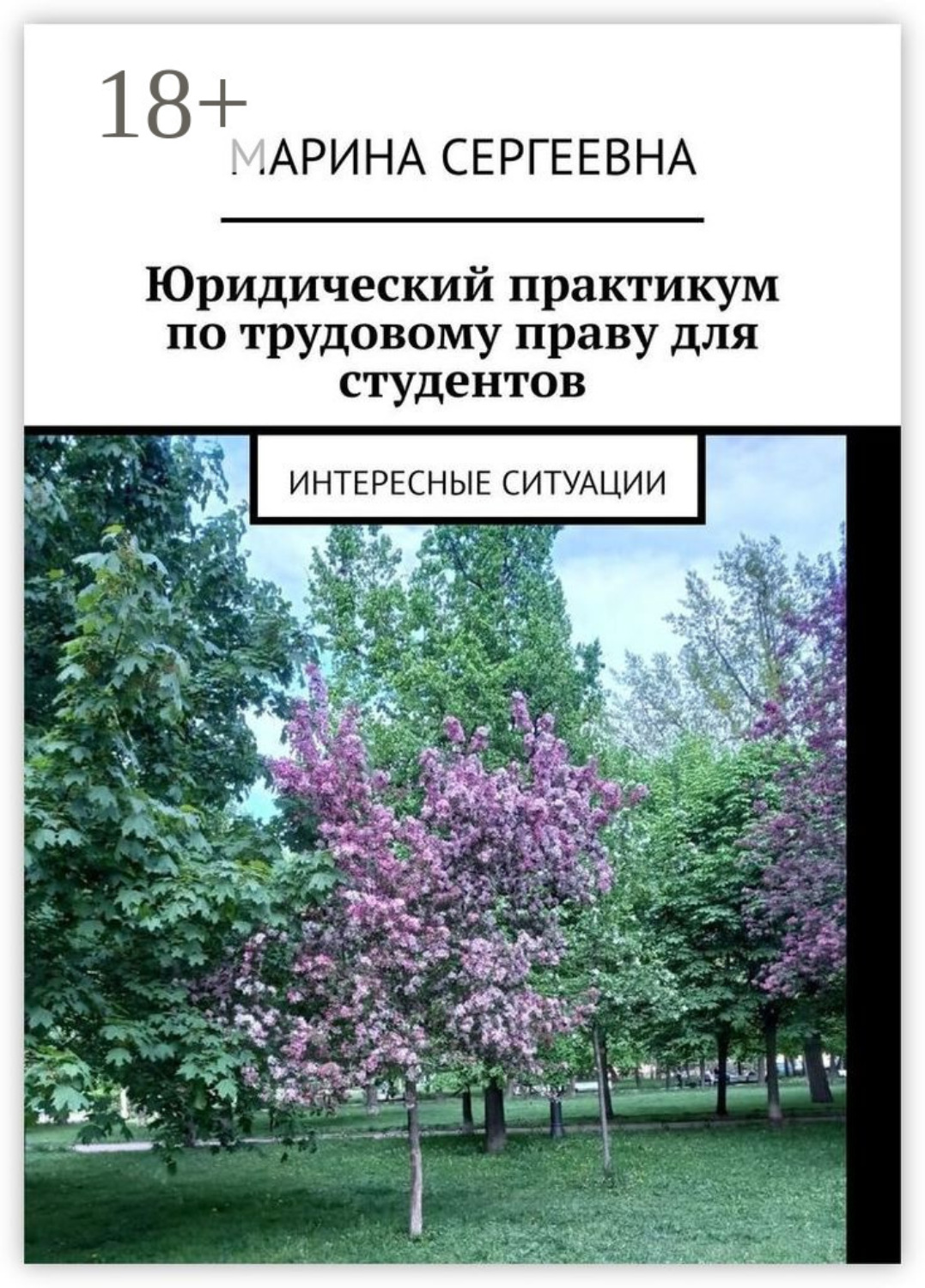 Обложка книги «Юридический практикум по трудовому праву для студентов. Интересные ситуации»