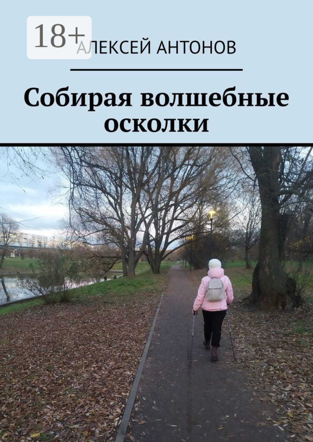 Обложка книги «Собирая волшебные осколки»