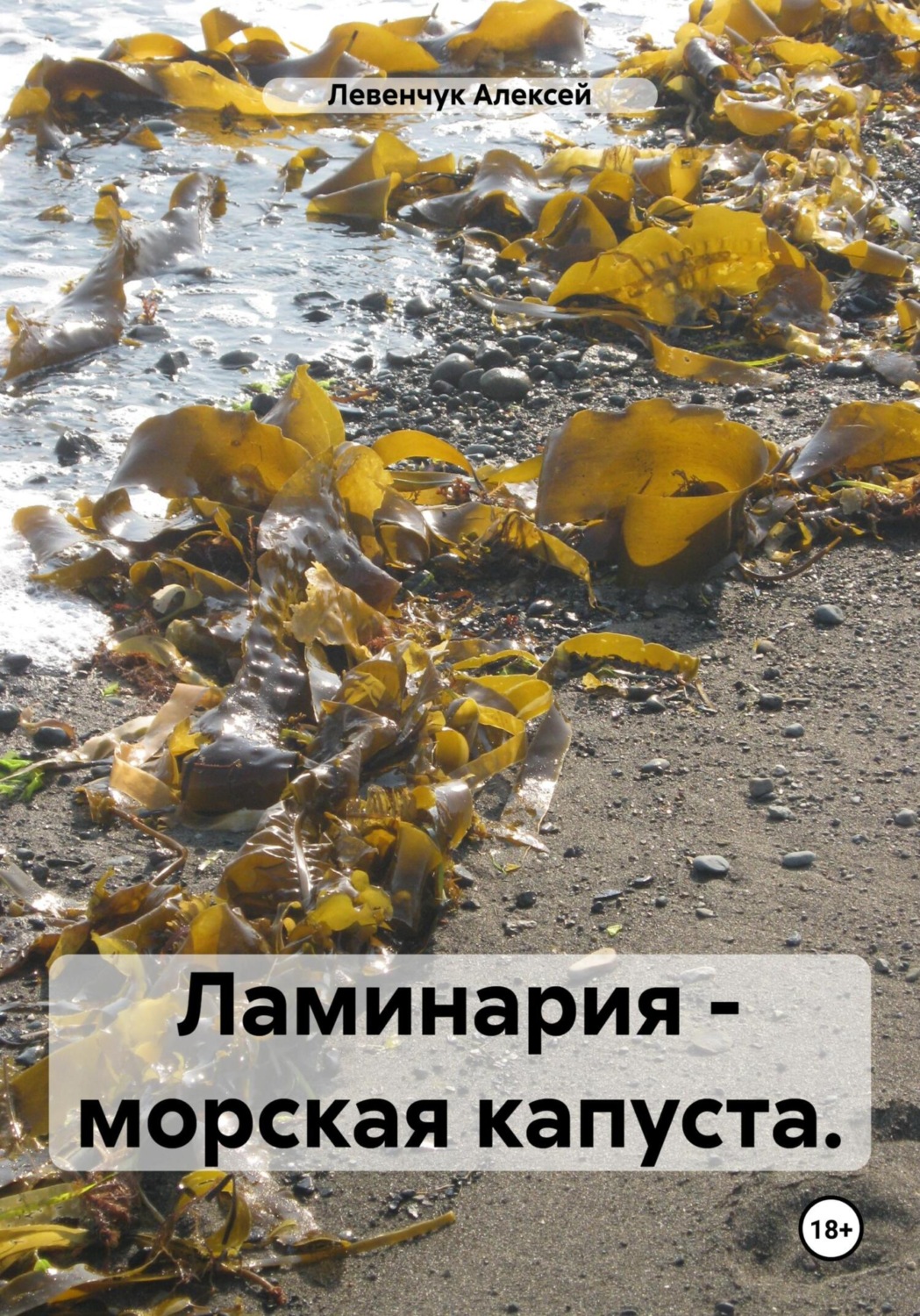 Обложка книги «Ламинария – морская капуста»