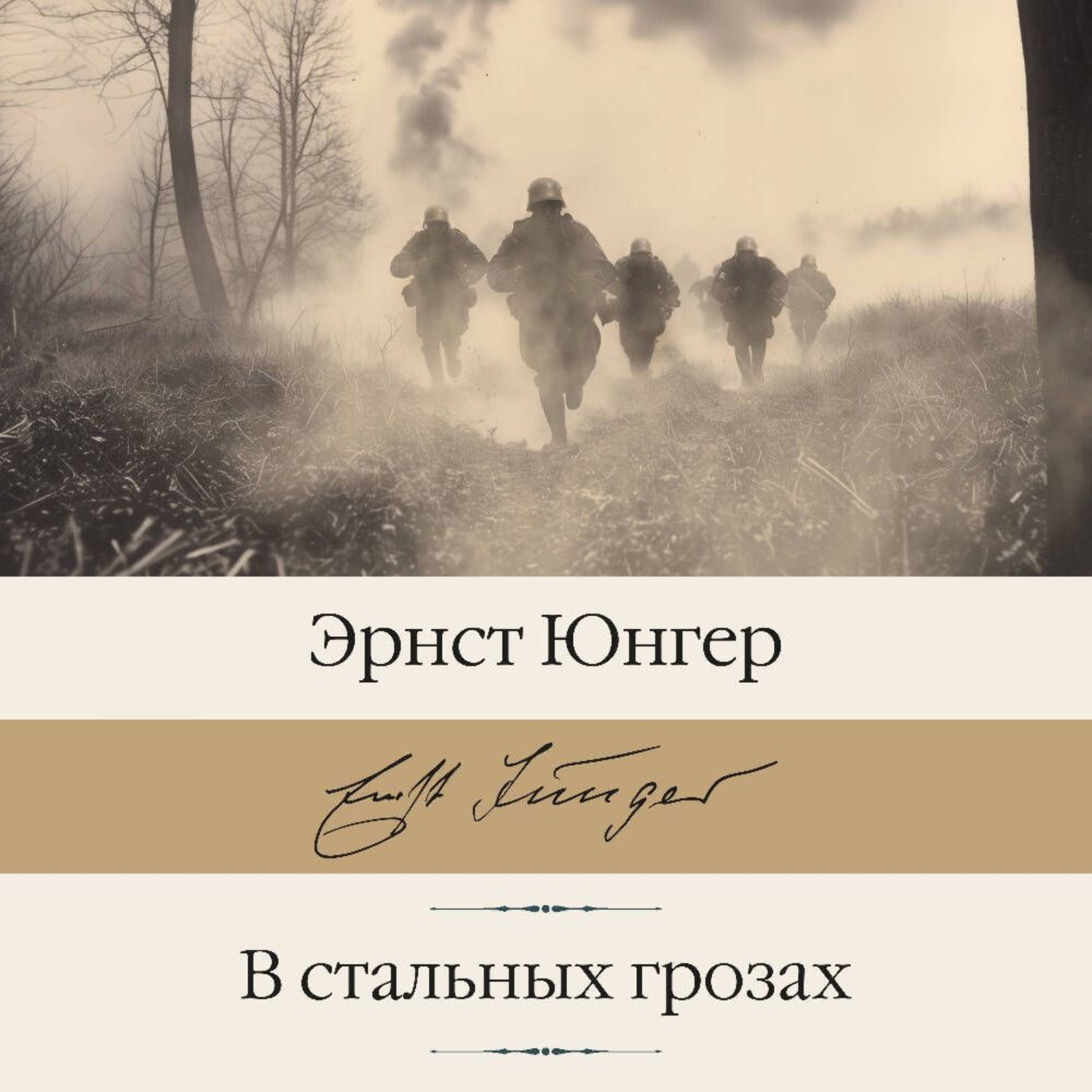 Обложка книги «В стальных грозах»