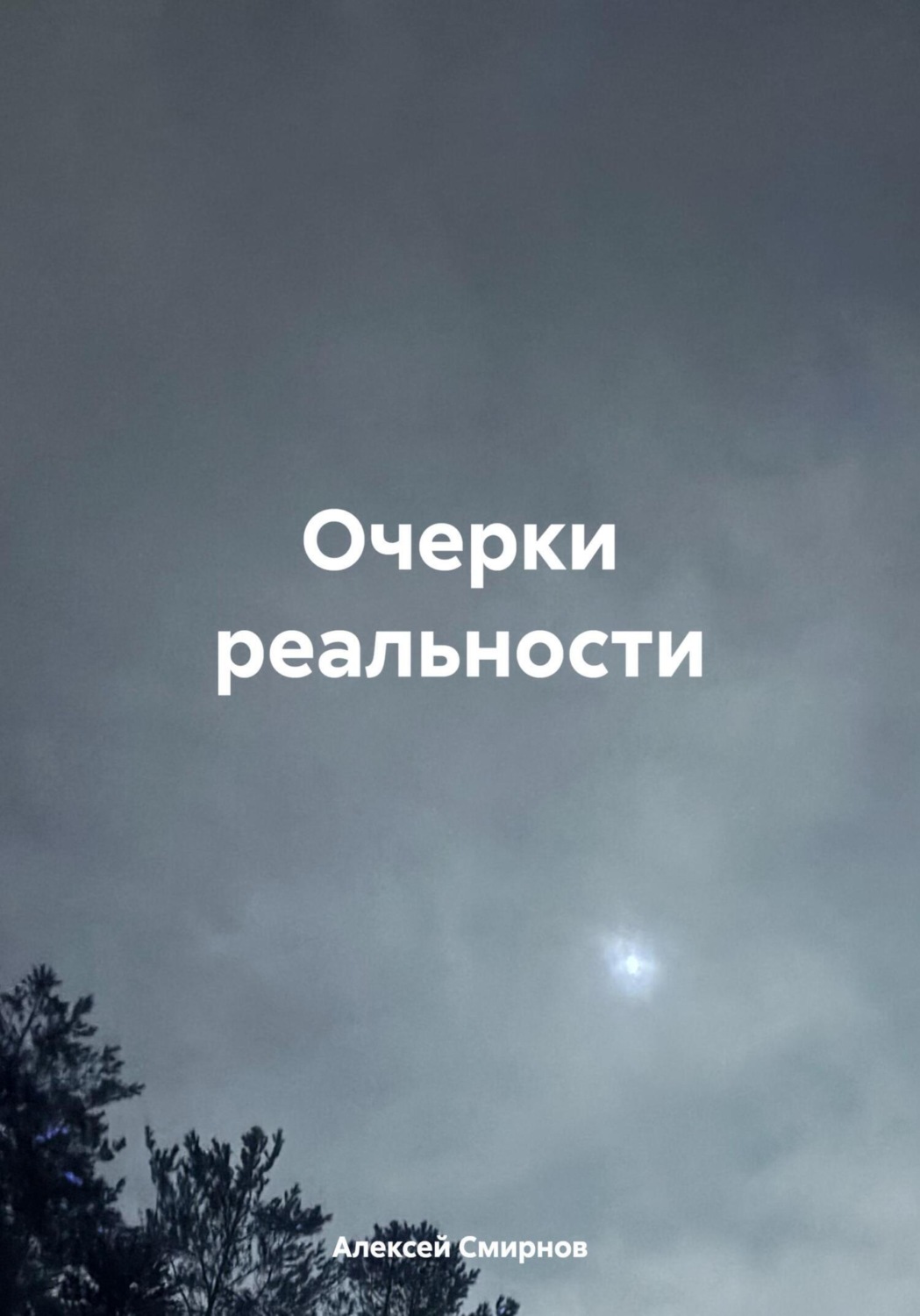 Обложка книги «Очерки реальности»