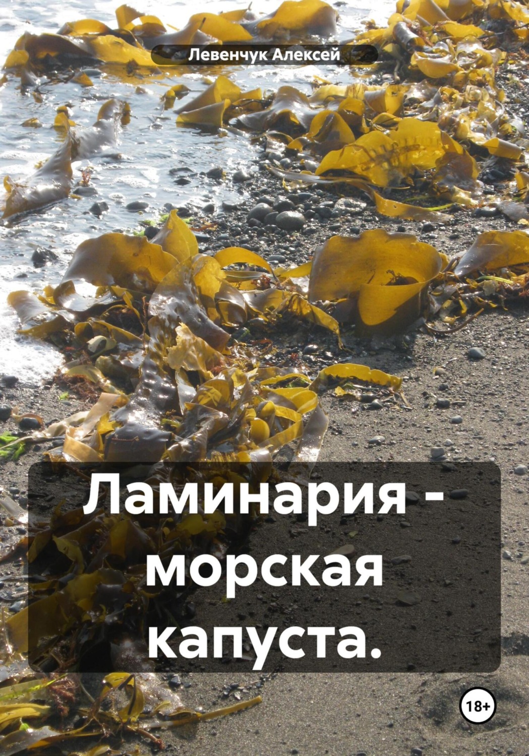 Обложка книги «Ламинария – морская капуста»