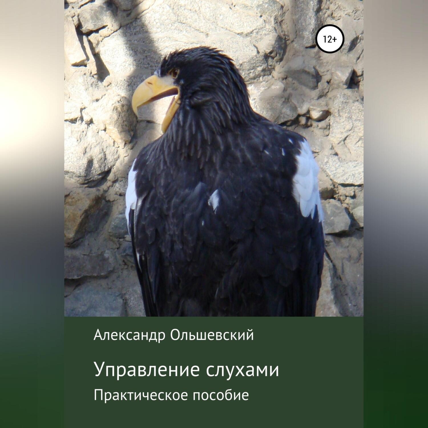 Обложка книги «Управление слухами. Практическое пособие»