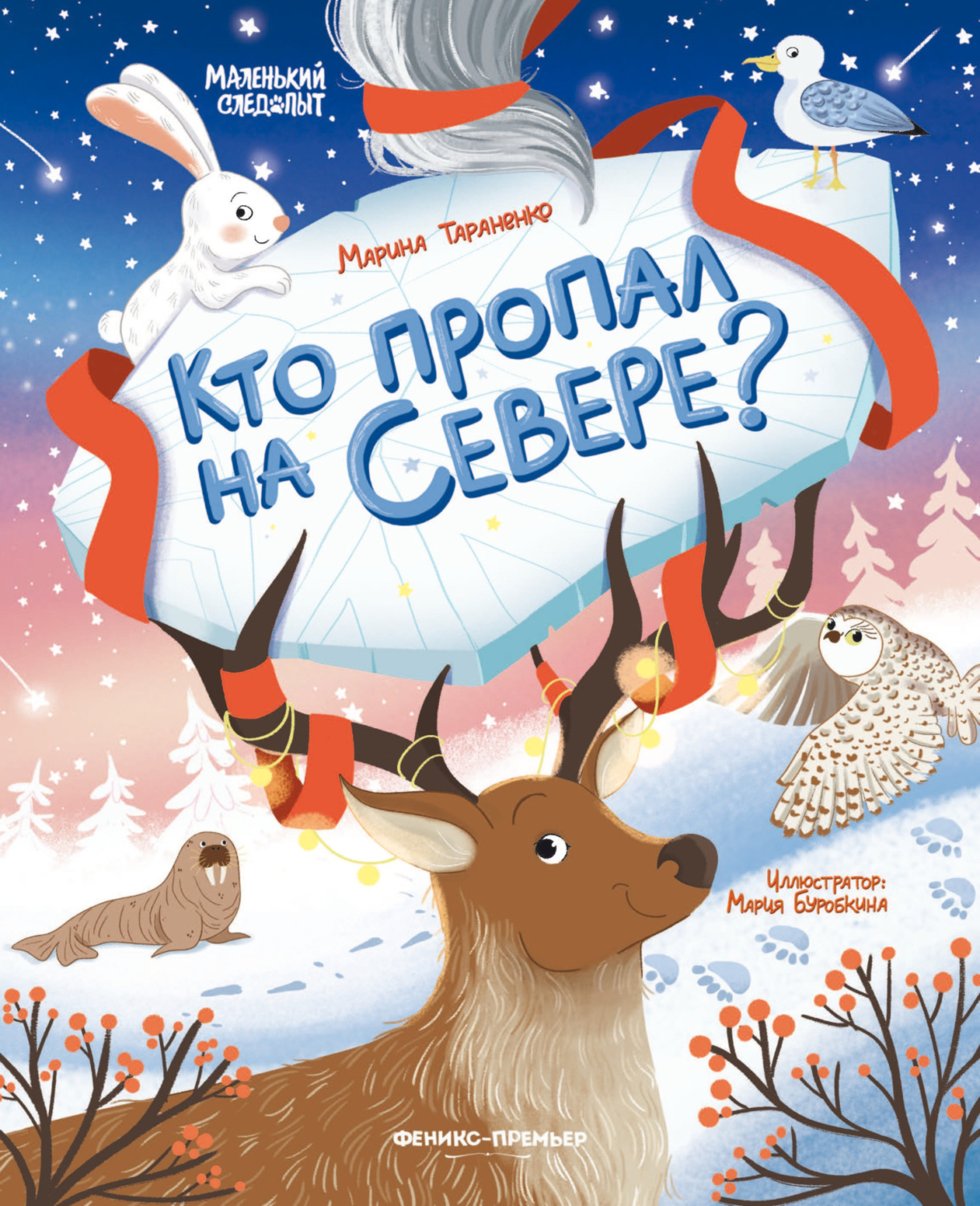 Обложка книги «Кто пропал на Севере?»