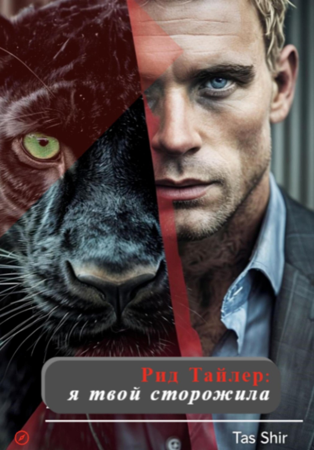 Обложка книги «Рид Тайлер: я твой сторожила»
