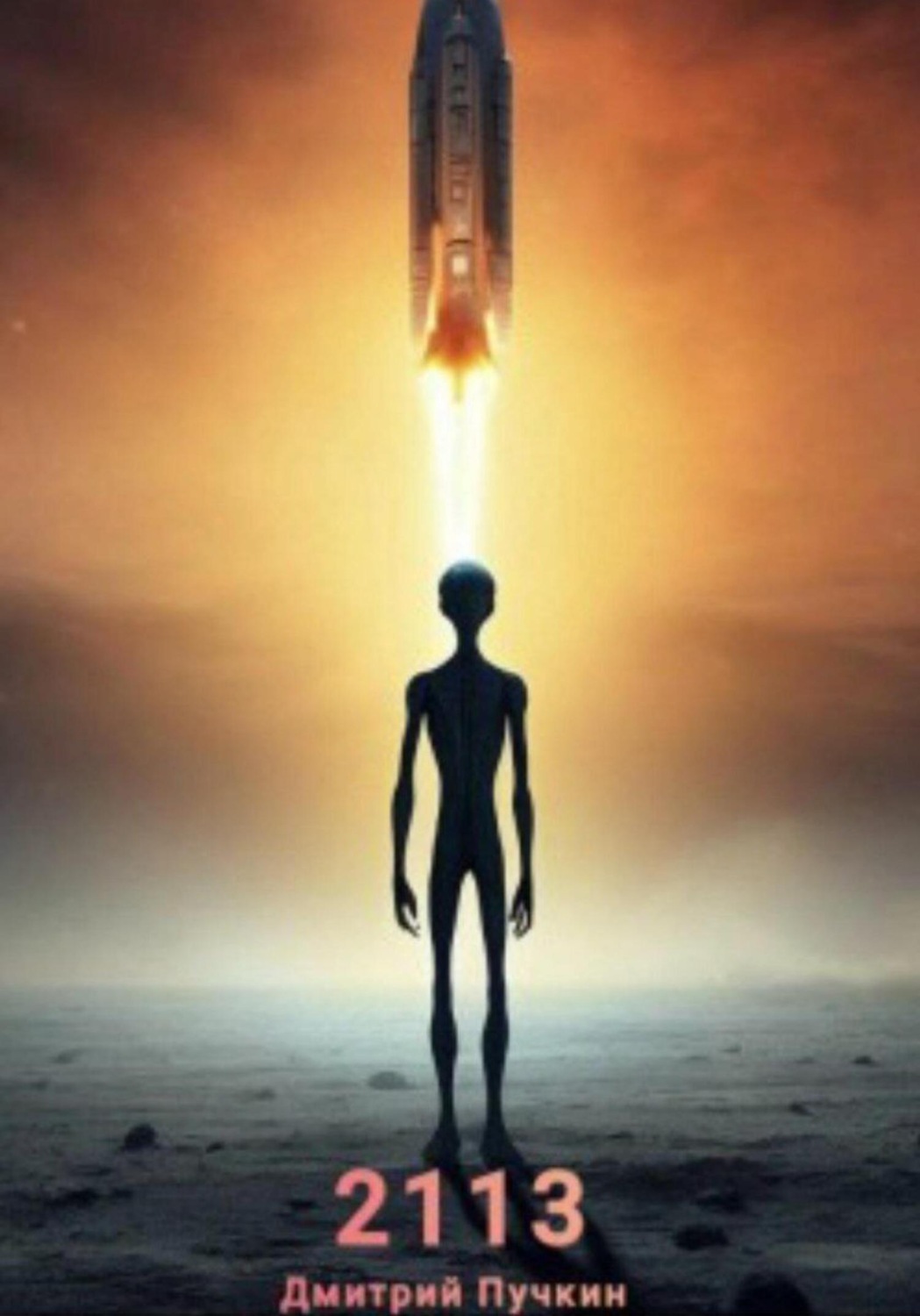 Обложка книги «2113»