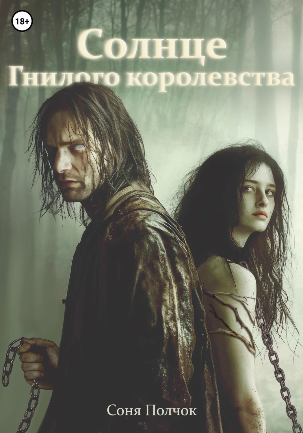 Обложка книги «Солнце Гнилого королевства»