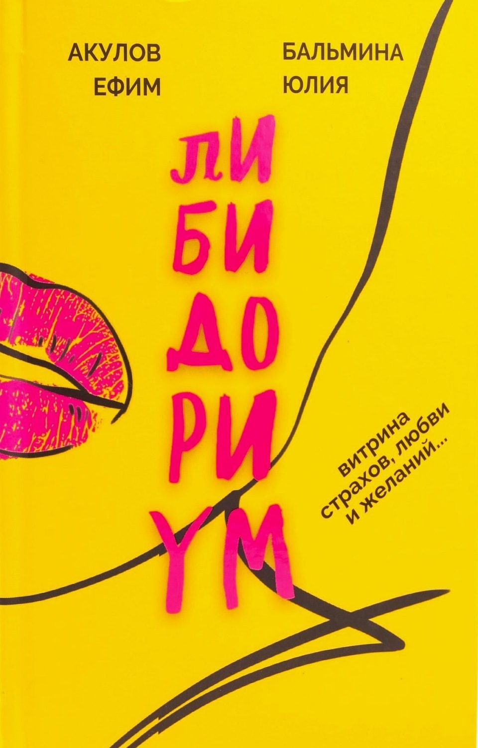 Обложка книги «Либидориум»