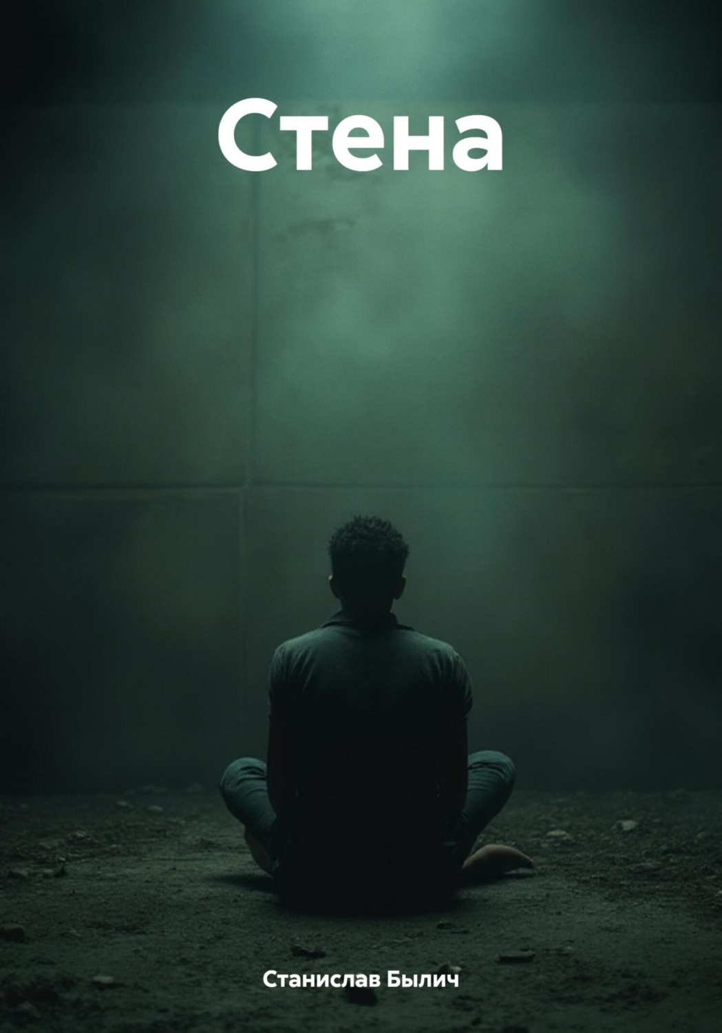 Обложка книги «Стена»