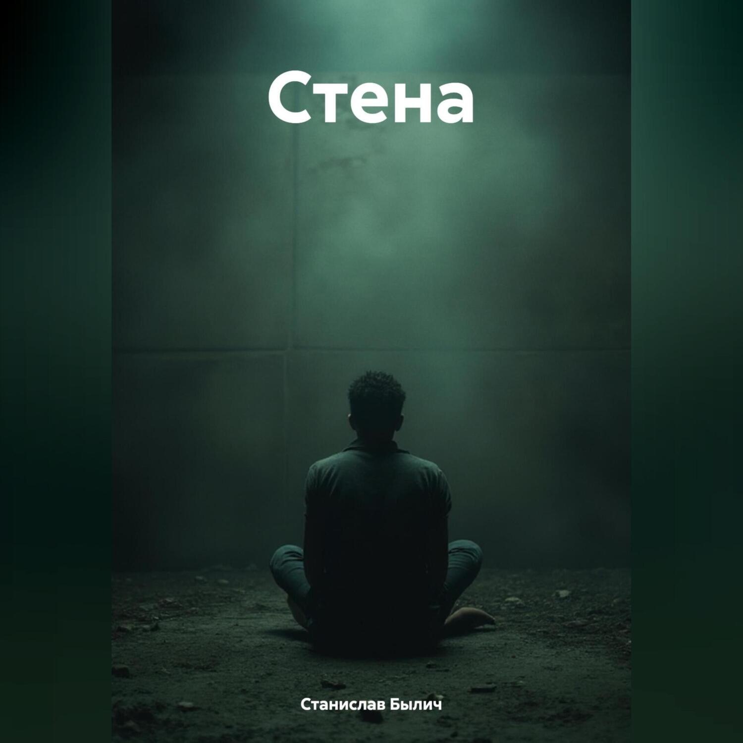 Обложка книги «Стена»
