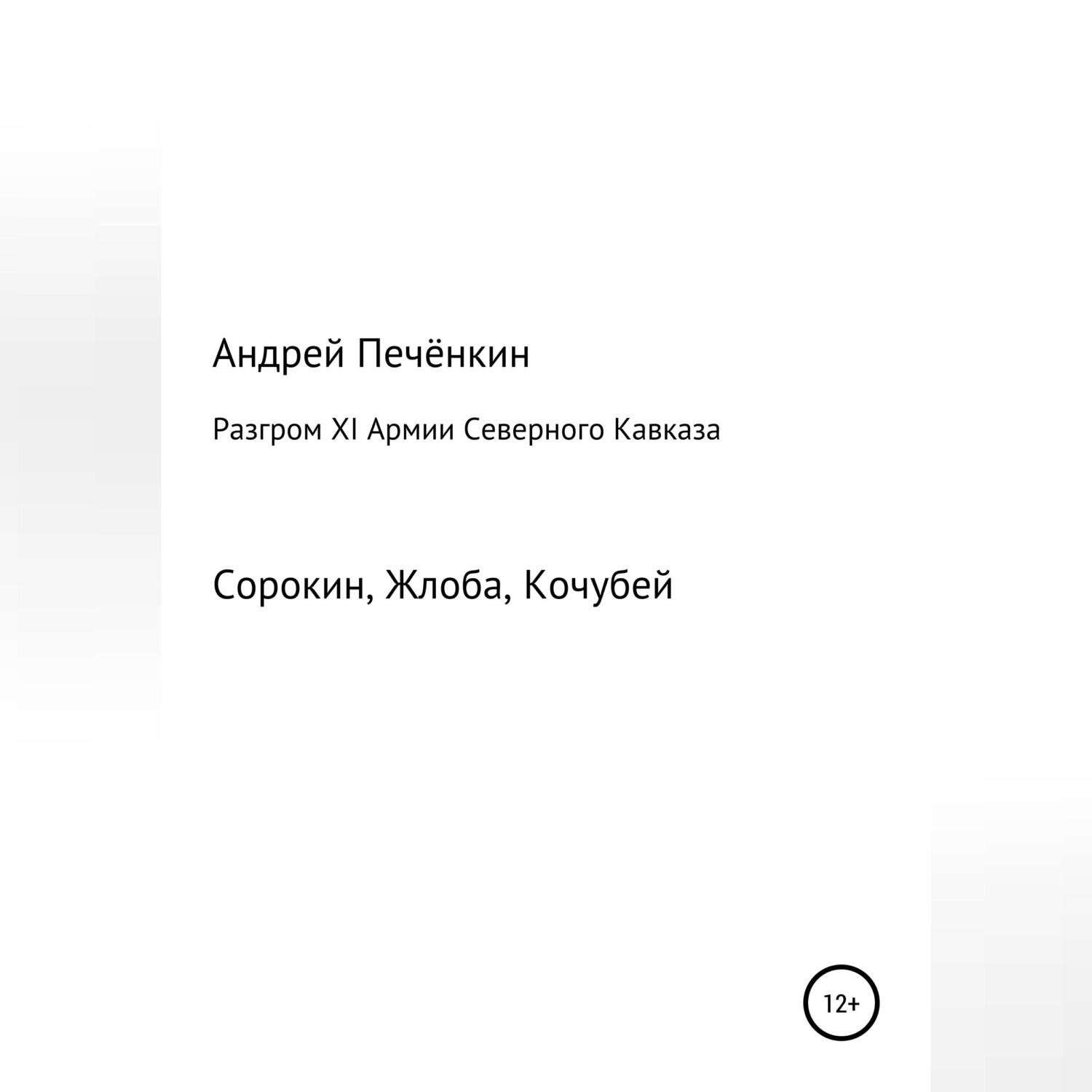 Обложка книги «Разгром ХI Армии Северного Кавказа»