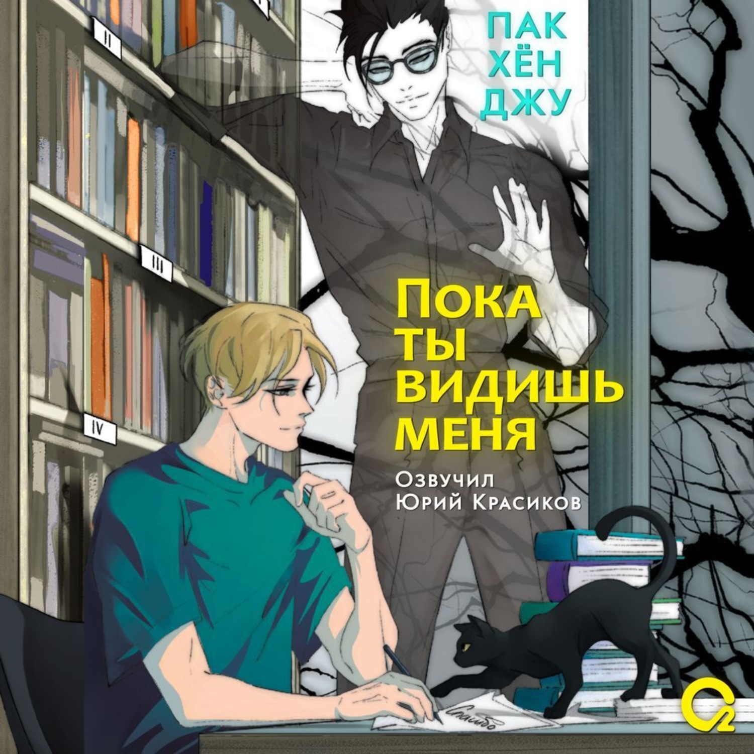 Обложка книги «Пока ты видишь меня»
