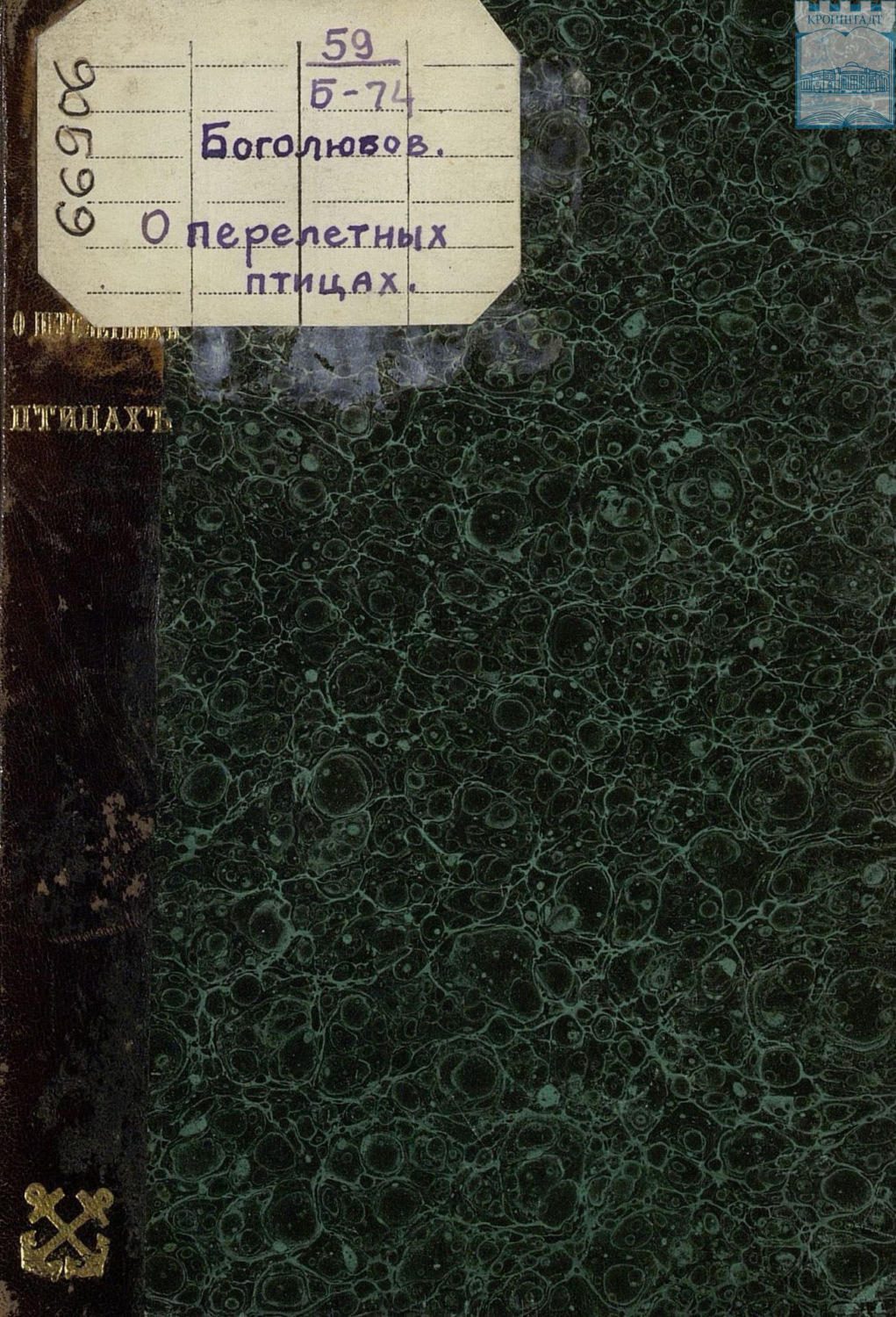 Обложка книги «О перелетных птицах острова Котлин»