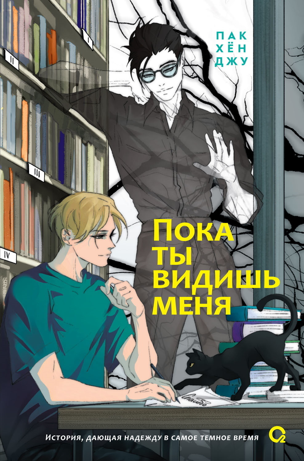 Обложка книги «Пока ты видишь меня»