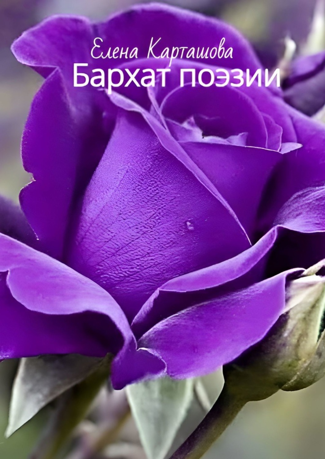 Обложка книги «Бархат поэзии»