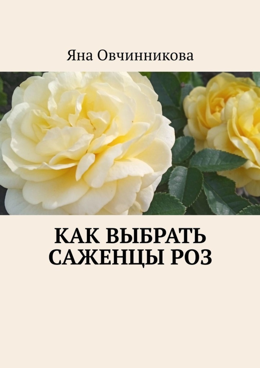 Обложка книги «Как выбрать саженцы роз»