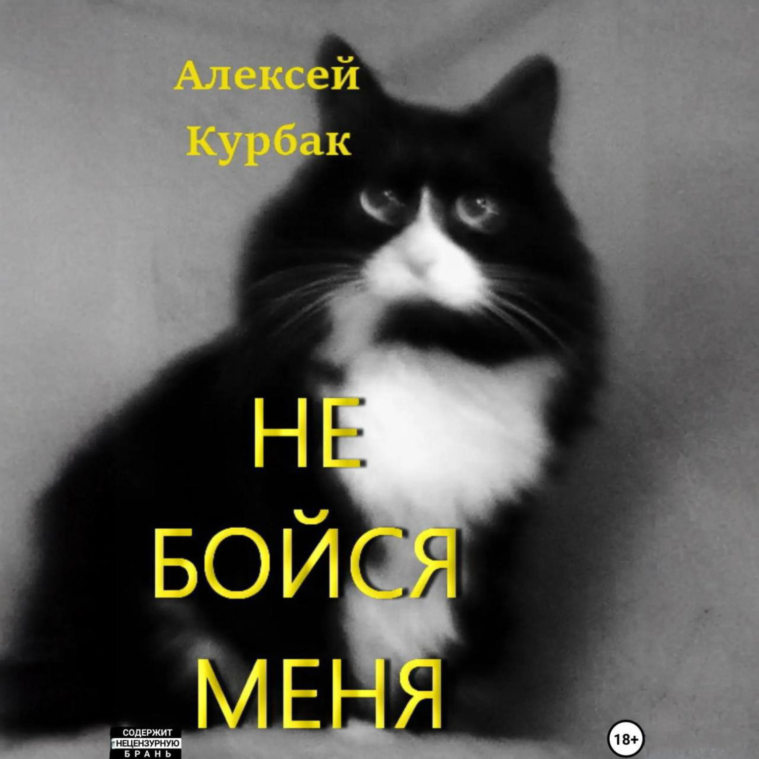 Обложка книги «Не бойся меня»