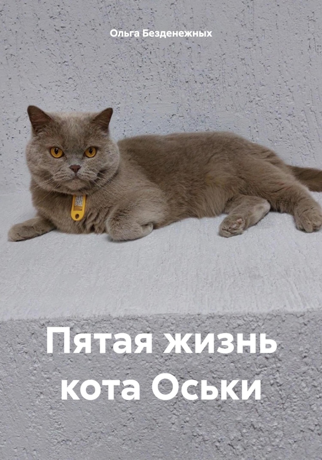 Обложка книги «Пятая жизнь кота Оськи»