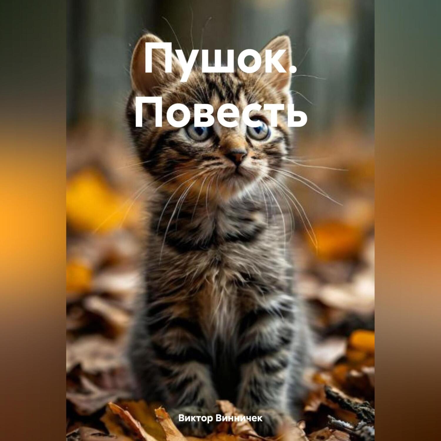 Обложка книги «ПУШОК (повесть)»