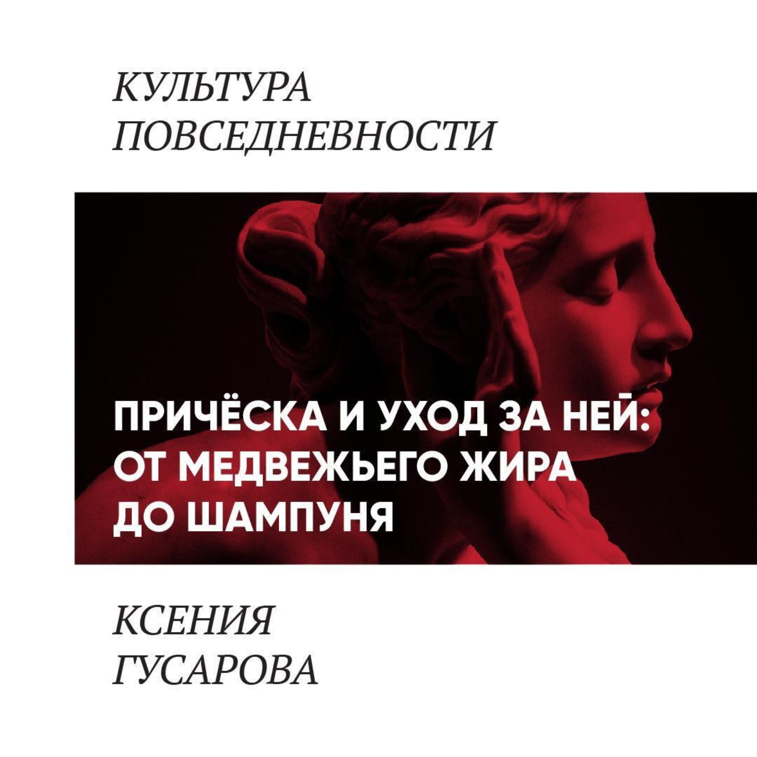 Обложка книги «Причёска и уход за ней: от медвежьего жира до шампуня»