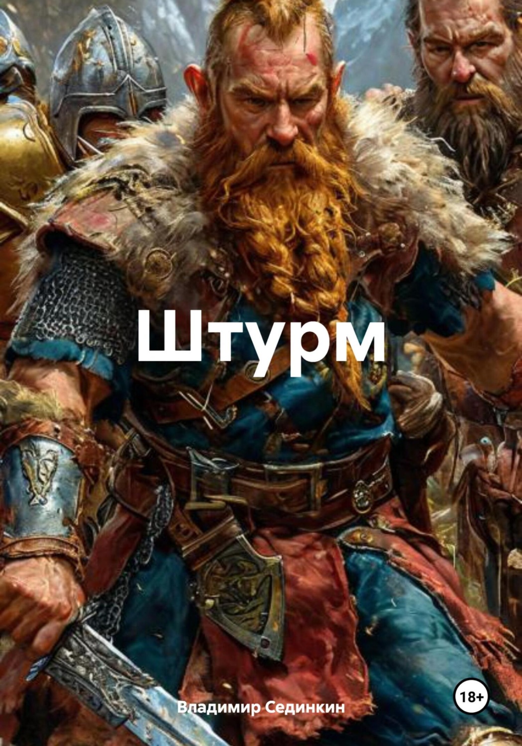 Обложка книги «Штурм»