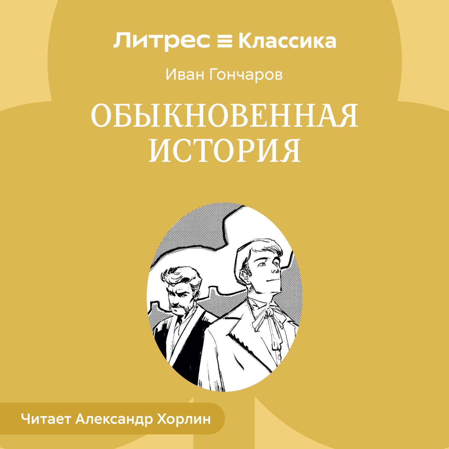 Обложка книги «Обыкновенная история»
