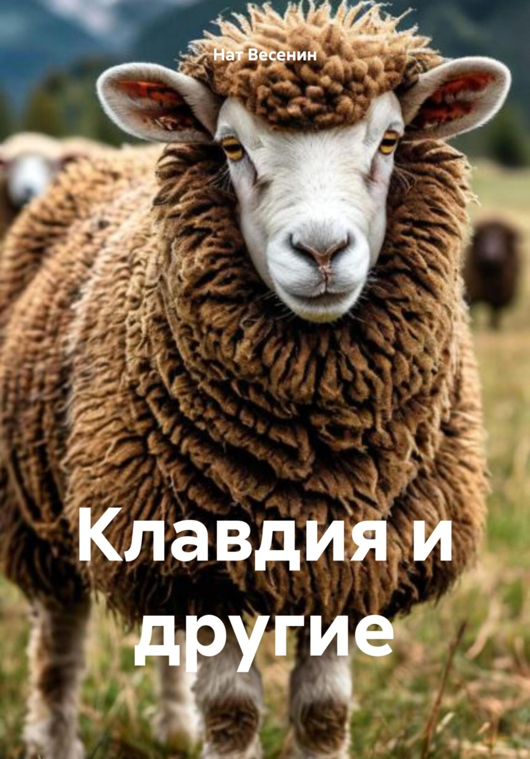 Обложка книги «Клавдия и другие»