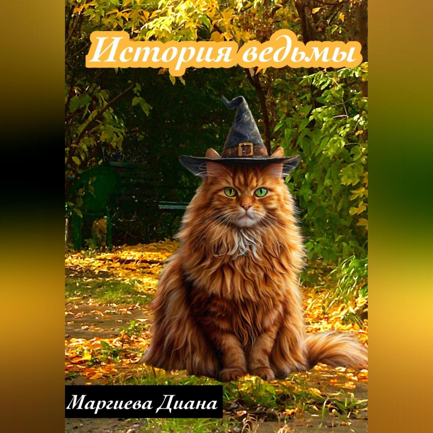 Обложка книги «История ведьмы»